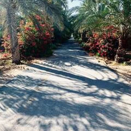 Lorem Ipsum is simply dummy text of farmhouser NEW